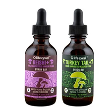 immunity-pack-turkey-tail-and-reishi