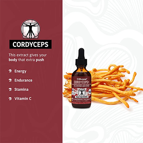 cordyceps-mushroom-liquid-extract-2